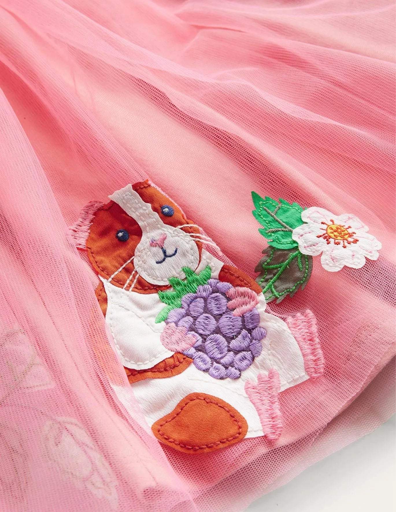 Applique Tulle Ballet Dress - Mini Taylor