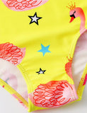 Flamingo Print One-piece Swimsuit