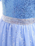 Frozen Mesh Party Dress - Mini Taylor